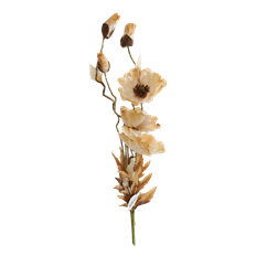 POPPY SEED SPRAY X 5 30" BROWN