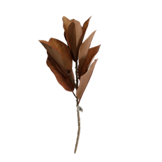 MAGNOLIA LEAF SPRAY 21.5" BROWN
