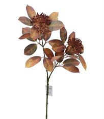 BERRY SPRAY 28" LIGUSTRUM ORANGE