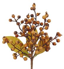 MOUNTAIN BERRY PICK 14"