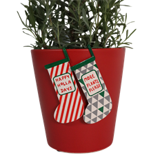 POT HANGERS 3.75" 6/PKG RED/GREEN