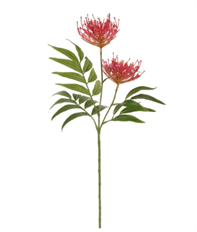 PROTEA SPRAY 29" FUCHSIA