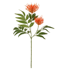 PROTEA SPRAY 29" ORANGE