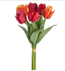 TULIP BUNDLE X 6 19" RED/OR