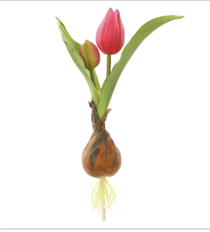 TULIP SPRAY W/ BULB 8" FUCHSIA