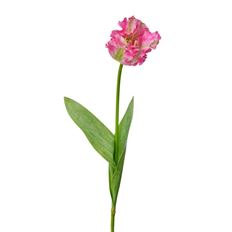 PARROT TULIP SOFT TOUCH 28" PINK