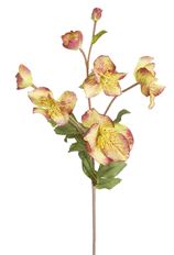 ROSE CHRISTMAS 28" BU/GRN