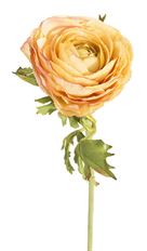 RANUNCULUS 21"  GOLD