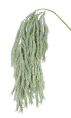 SEDUM HANGING 49" GREY/GREEN