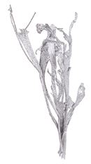 NATRAJ SILVER GLITTER