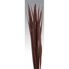 SNAKE LEAF 25-30" CHOCOLATE 12/PK