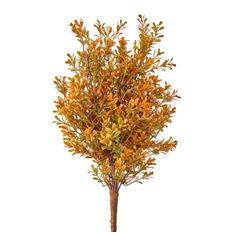 BOXWOOD BUSH UV AUTUMN 17"