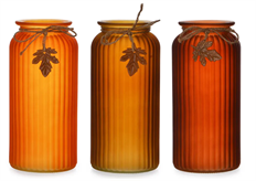 GLASS VASE FALL ASST 10X4.5"