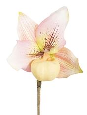 LADY SLIPPER PLANT SPRAY 23"