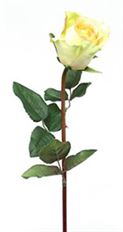 ROSE SPRAY 24" GREEN