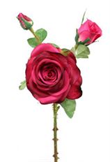 GARDEN ROSE SPRAY 19.5" RED