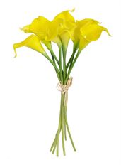 CALLA LILY BUNDLE X9 YELLOW