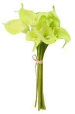 CALLA LILY BUNDLE CREAM GREEN