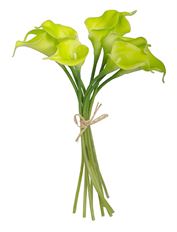 CALLA LILY BUNDLE 14&quot; GREEN