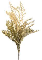 SWORD FERN BUSH 22" GREEN/YELLOW