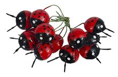 LADY BUG 20MM 144/BOX