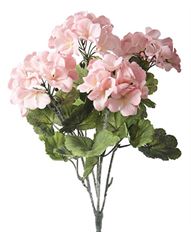 GERANIUM BUSH PINK 14.5"
