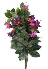 FUCHSIA BUSH X12 HANGING