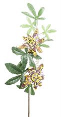 SAFARI PASSION VINE BRN/GRN