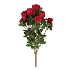 ROSE BUD BUSH RED X11