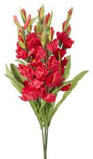 GLADIOLUS BUSH RED 27" X6