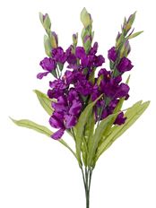 GLADIOLUS BUSH PURPLE 27" X6