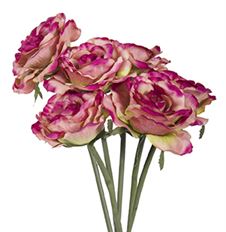 ROSE BUNDLE 6 STEM FUCHSIA/GR