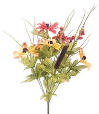 RUDBECKIA STAIN BUSH X11 22"