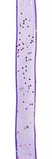 FLASH #3 PURPLE 25YD RIBBON
