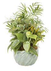 6" CERAMIC DISH GARDEN