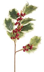 HOLLY PICK 16" VARIGATED RED