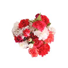 MINI CARN BOUQ W/ GYP