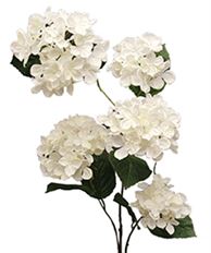 HYDRANGEA SPRAY 45"