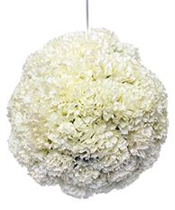 CARNATION BALL 9.5" WHITE