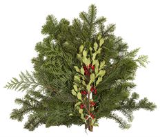 BIG MAC MIXED EVERGREEN SWAG