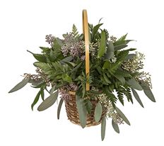 5" DELUXE BASKET STARTER ARR.