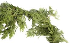 CEDAR GARLAND 75`