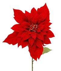 POINSETTIA JUMBO VELVET 33"