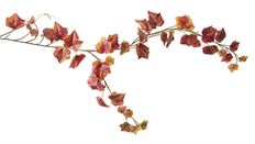 GARLAND 72"' GRAPE LEAF AUTUMN