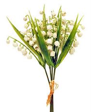 LILY OF THE VALLEY, BUNDLEX5 11" WH