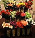 FLOWER RACK 39"X72" HALF ROUND