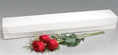 BOX ROSE 24X5X3.5" WHITE 50/CS