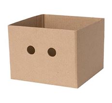 BOX DELIVERY 6X6X4" BROWN 50/PK