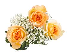 ROSE BQT-3 STEM w/ FILL & GRNS