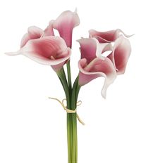 CALLA BUNDLE 15&quot; PINK